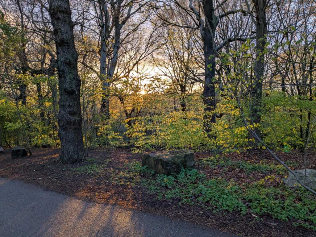 First half of 2025&nbsp;update